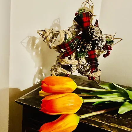 Lejlighed Scent Of Trastevere *